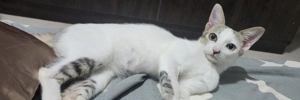 akchayaa_r Profile Banner