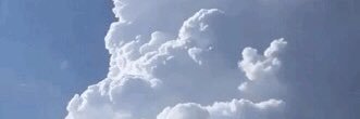 🎀 banner