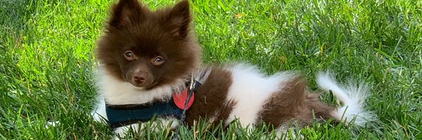 leitzkejs Profile Banner