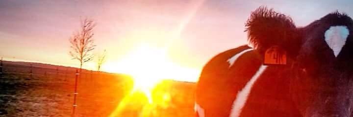 MCrisp73's profile banner image