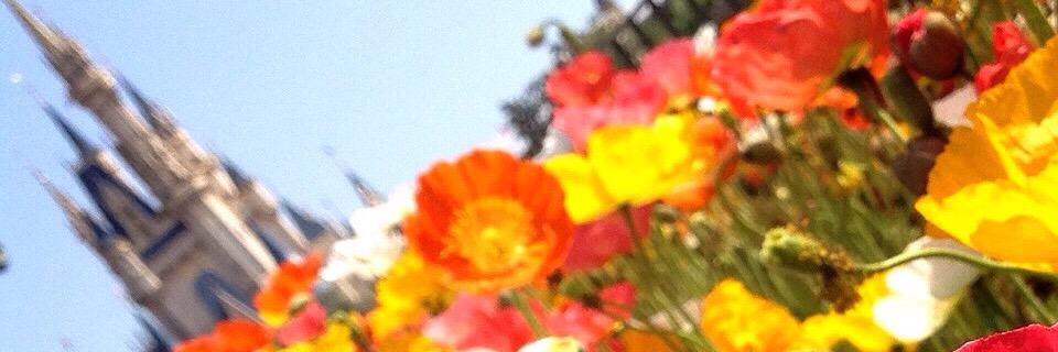 midukimuchi's profile banner image