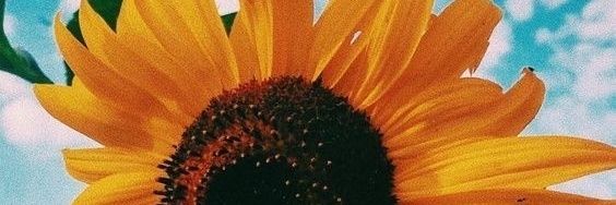 lauralahuerta's profile banner image