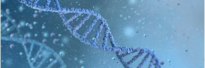 Dillon Patterson banner