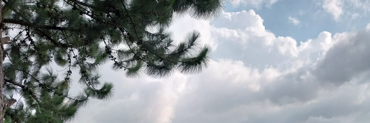 UncleDody's profile banner image