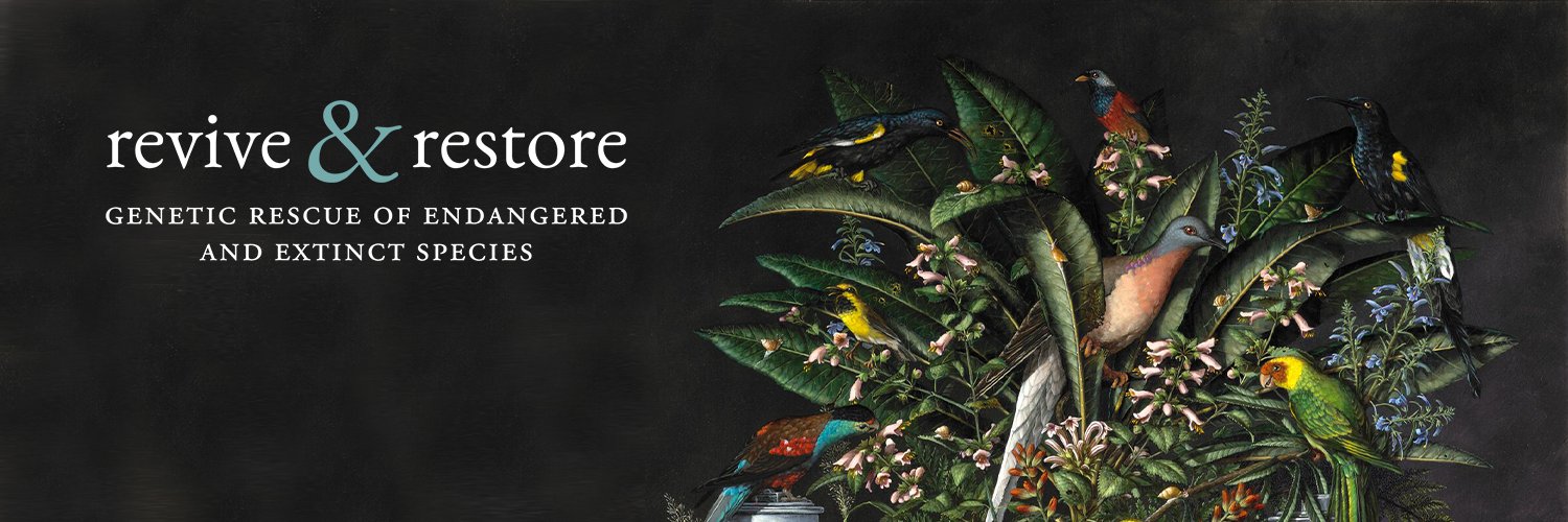 Revive & Restore banner