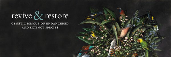 Revive_Restore Profile Banner