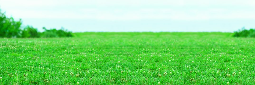 SpringAirUSA's profile banner image