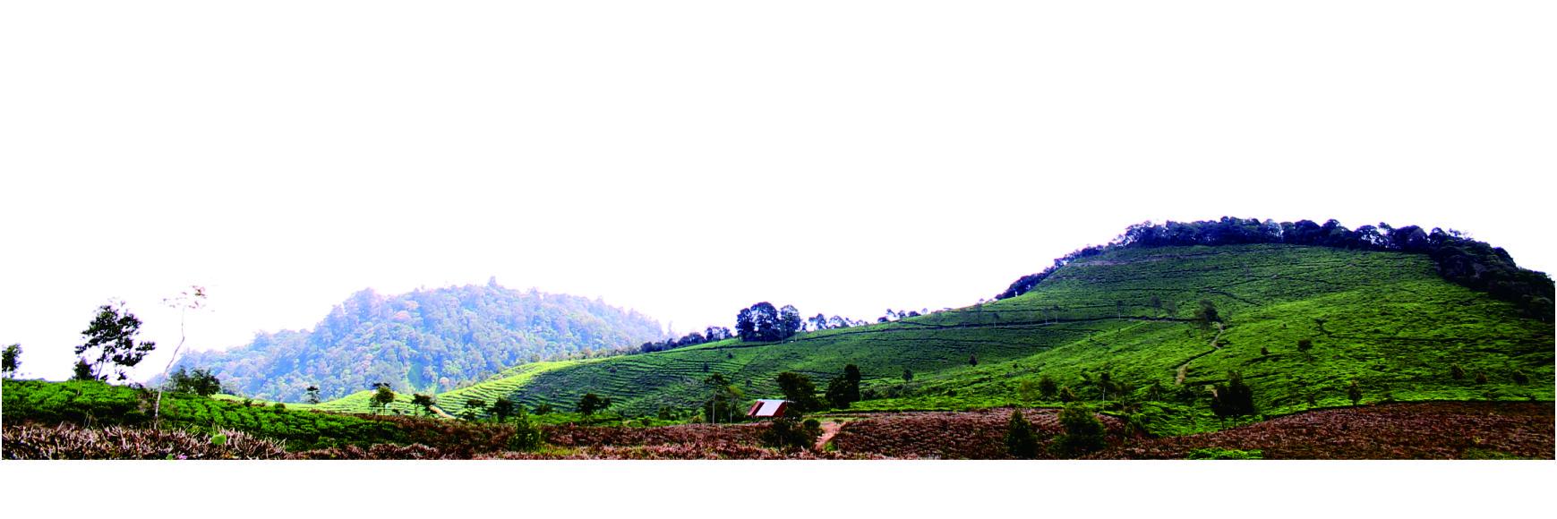 t e n g k u l a k banner