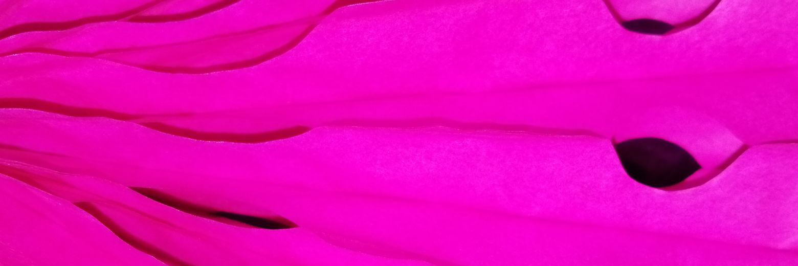 S_SarahH_H's profile banner image