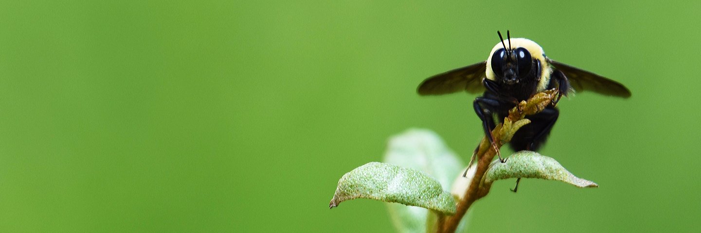 StoryCoConservation banner