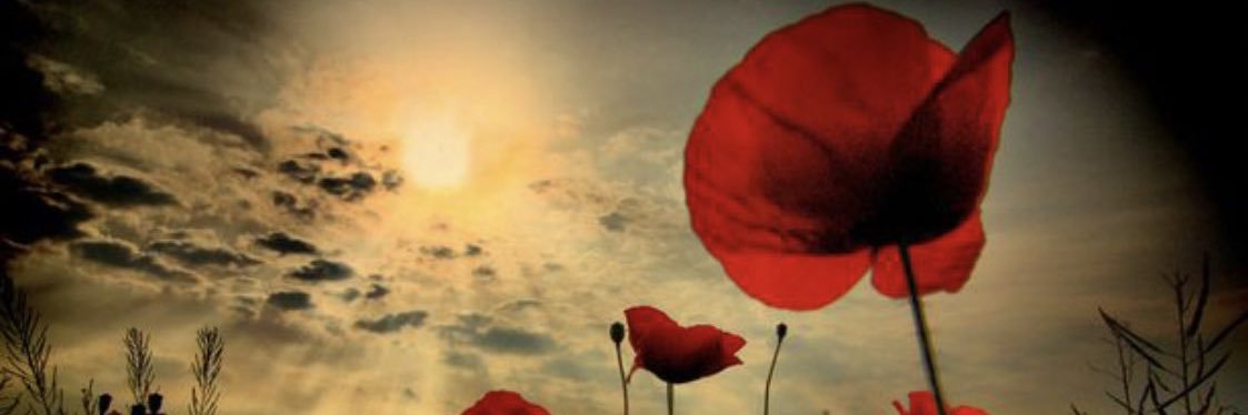 jt1934's profile banner image