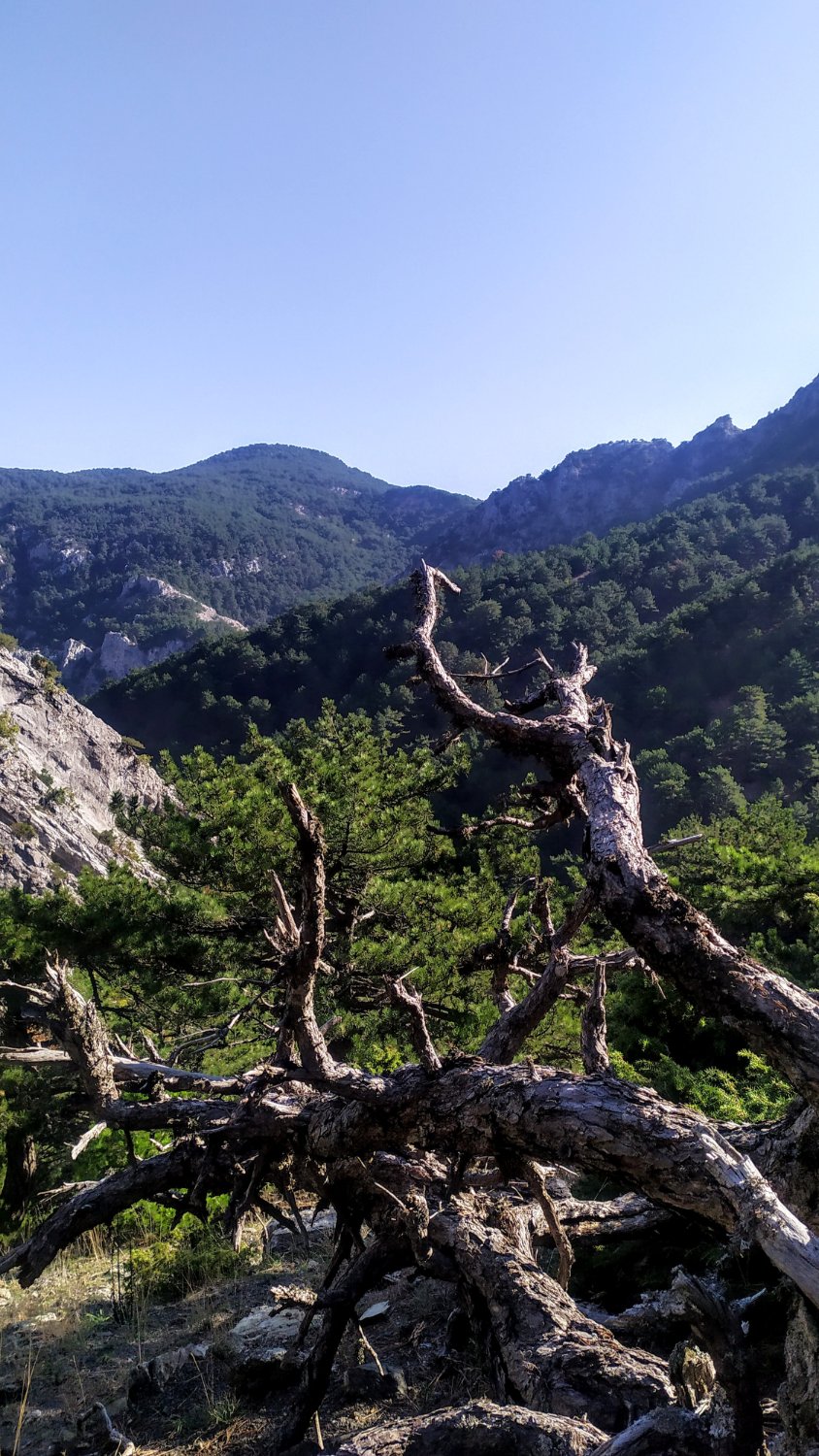felsefebilim's profile banner image