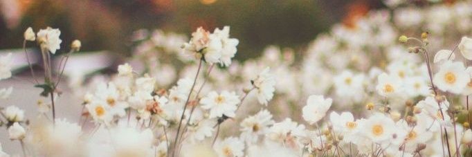 Britany_Real's profile banner image