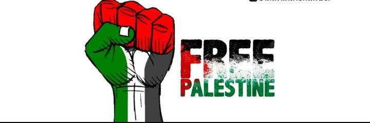 🦋🇵🇸 banner