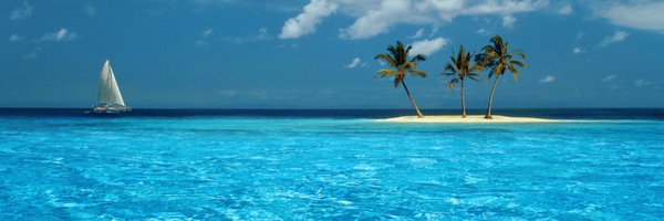 Scandinavian Profile Banner