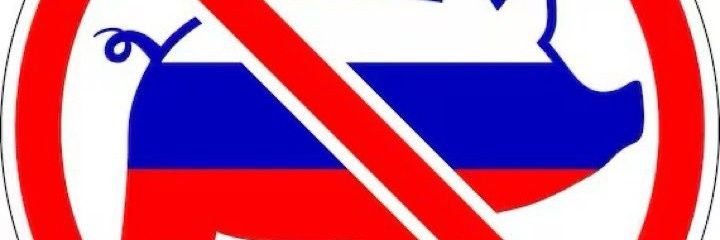 Adam Janek's banner