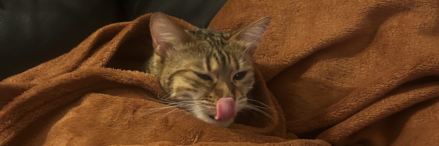 Kurt_is's profile banner image