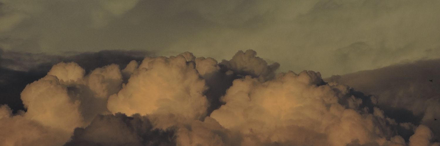 cotynievass's profile banner image