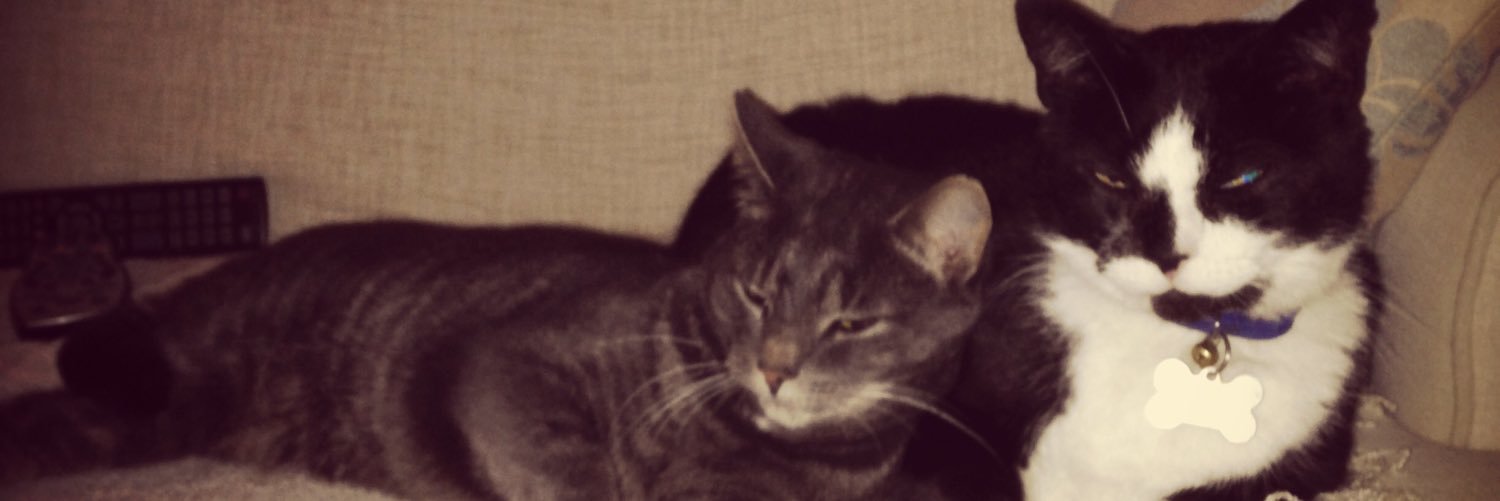 Edd_Ransom's profile banner image