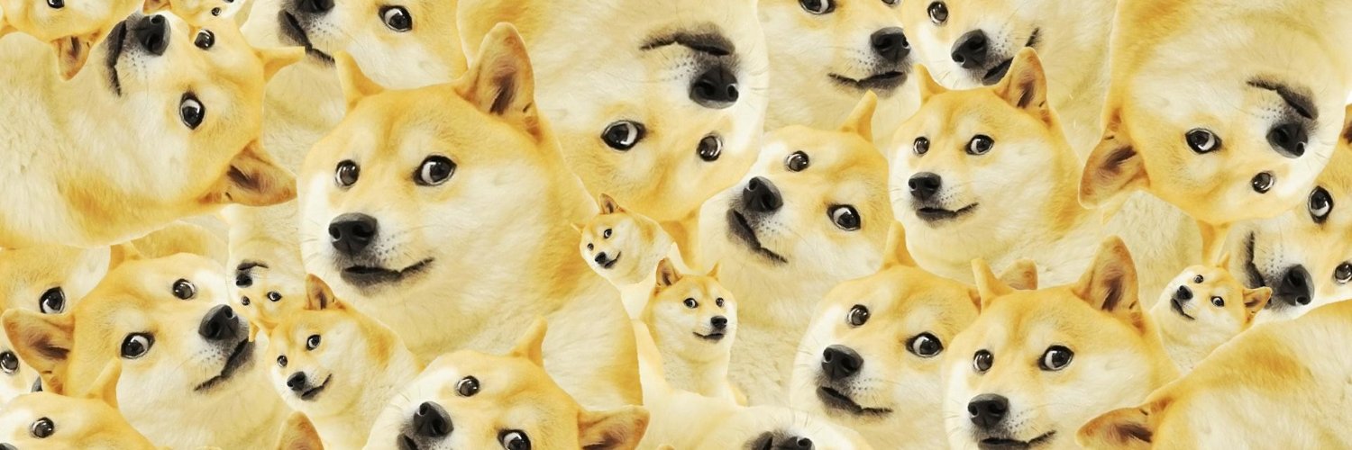 Shiba Every Hour's banner