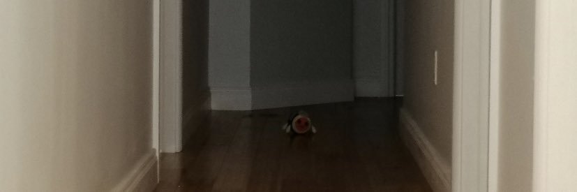 Flam banner