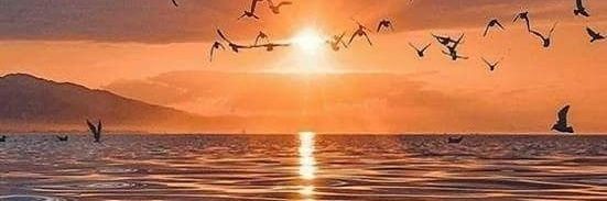 sun شمس banner