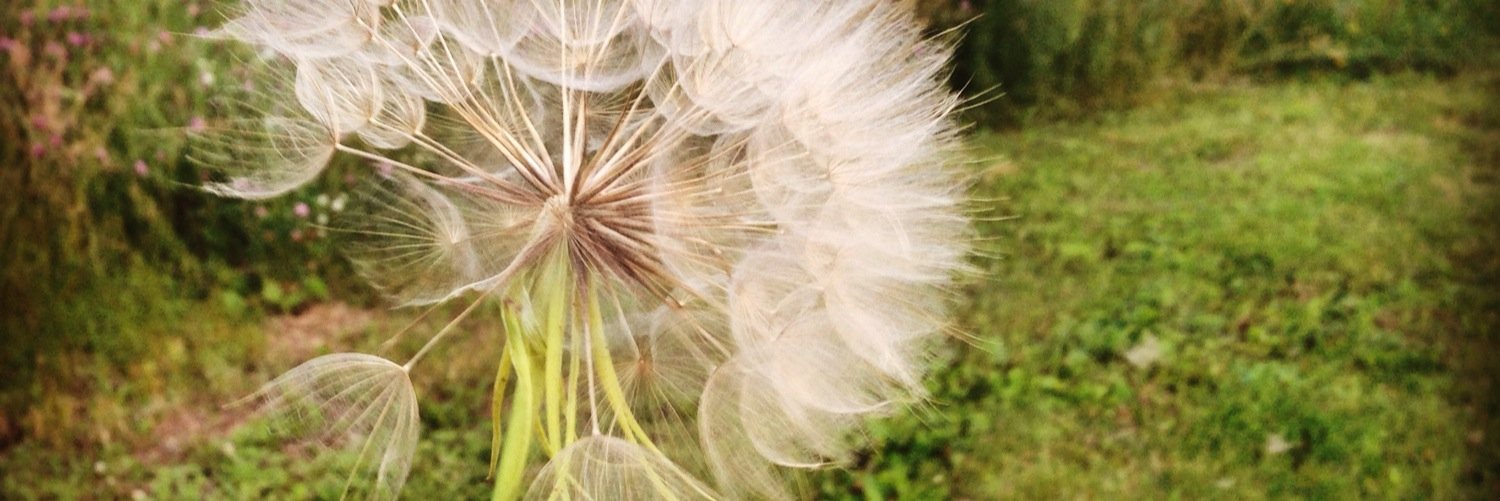katybug_100's profile banner image
