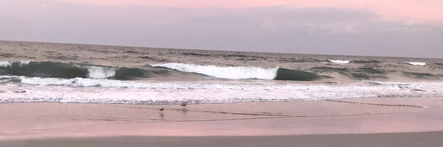 Mike Drimones banner