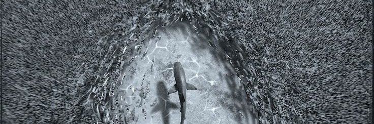 xvllEMPIREllvx's profile banner image