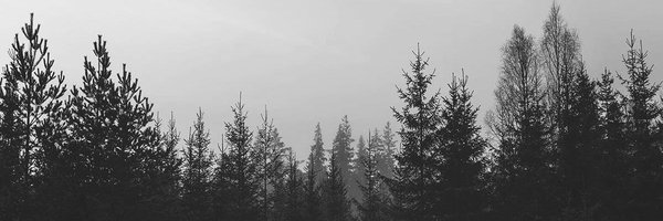 mydreamsunwind Profile Banner