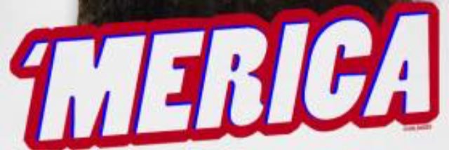Skip Faul's banner