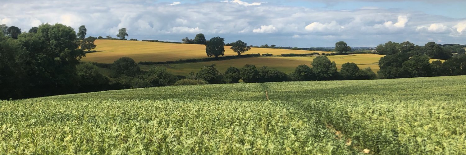 Daniel Jackson banner