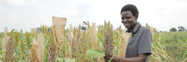 CropImprovement Profile Banner