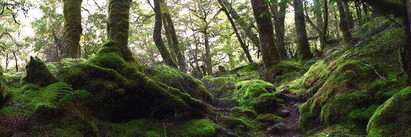 WaikatoEri Profile Banner