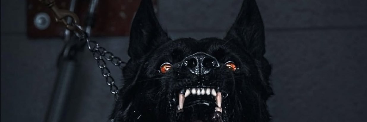 i_jessed_'s profile banner image