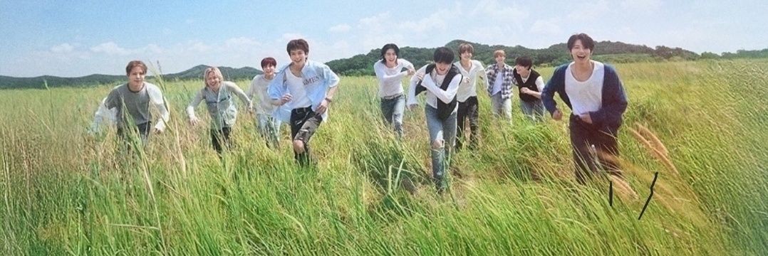 tteumemes's profile banner image