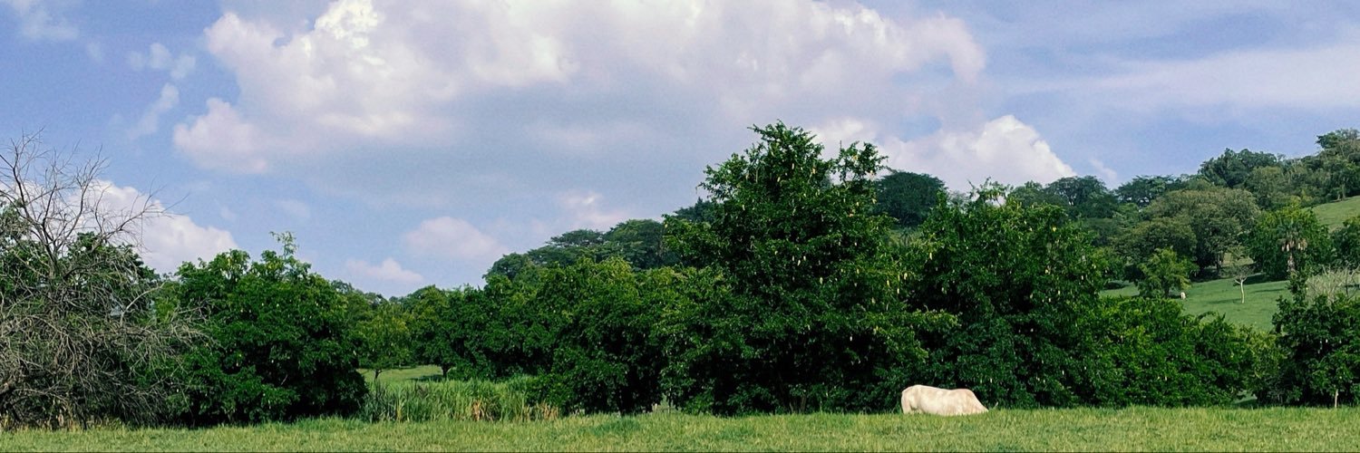 agarachm's profile banner image