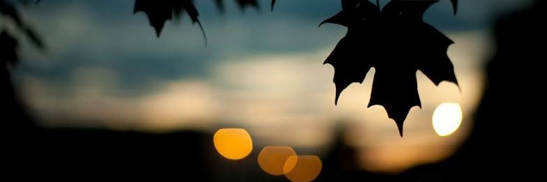_Oxitocina___'s profile banner image