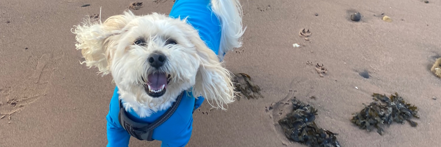 Catrina Hosey banner