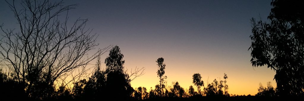 FuentesGdo's profile banner image