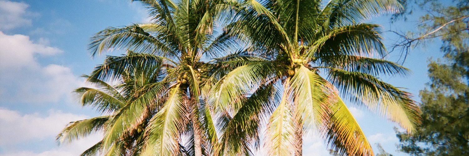 LexDelValle's profile banner image