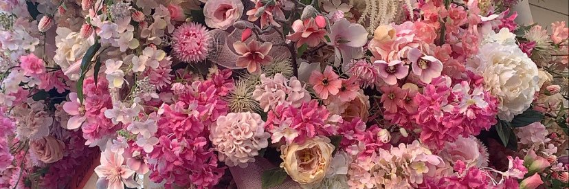 Ines_Cds's profile banner image