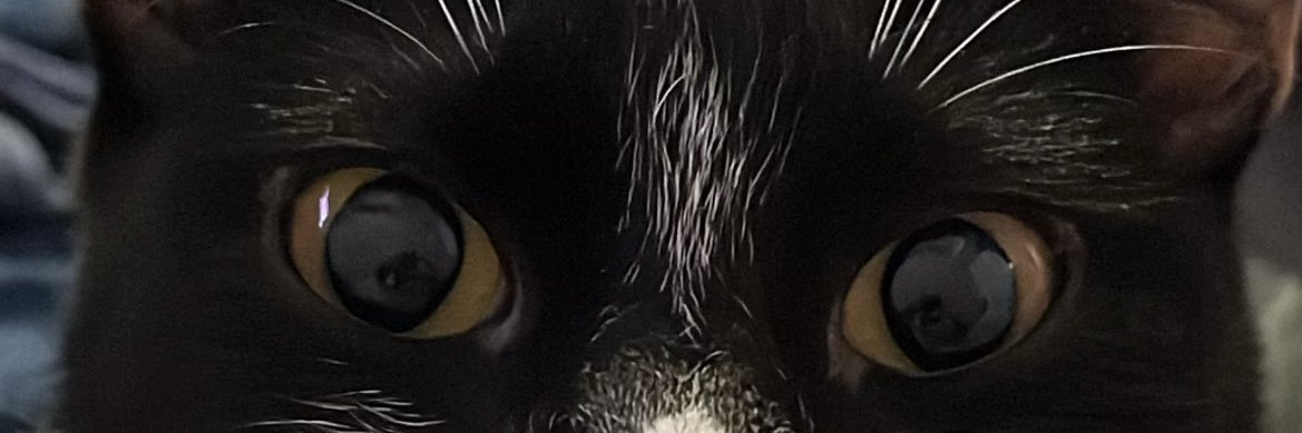 melxbaez's profile banner image