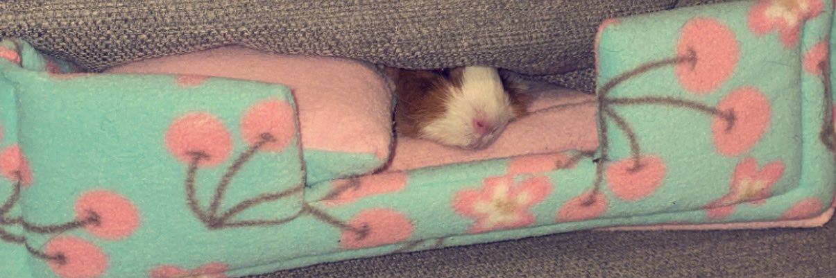 Hannah 🍌 banner