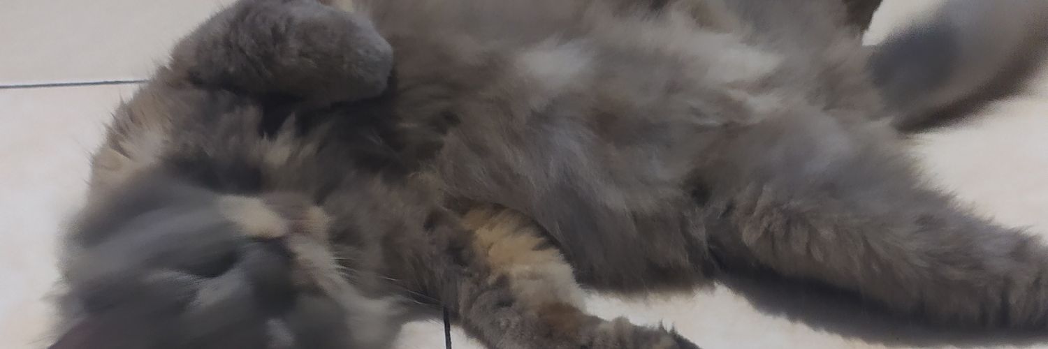 randajoyo's profile banner image