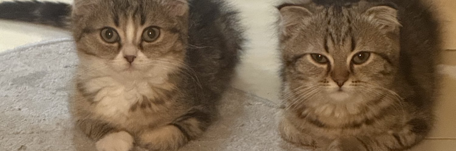 An8elLa's profile banner image