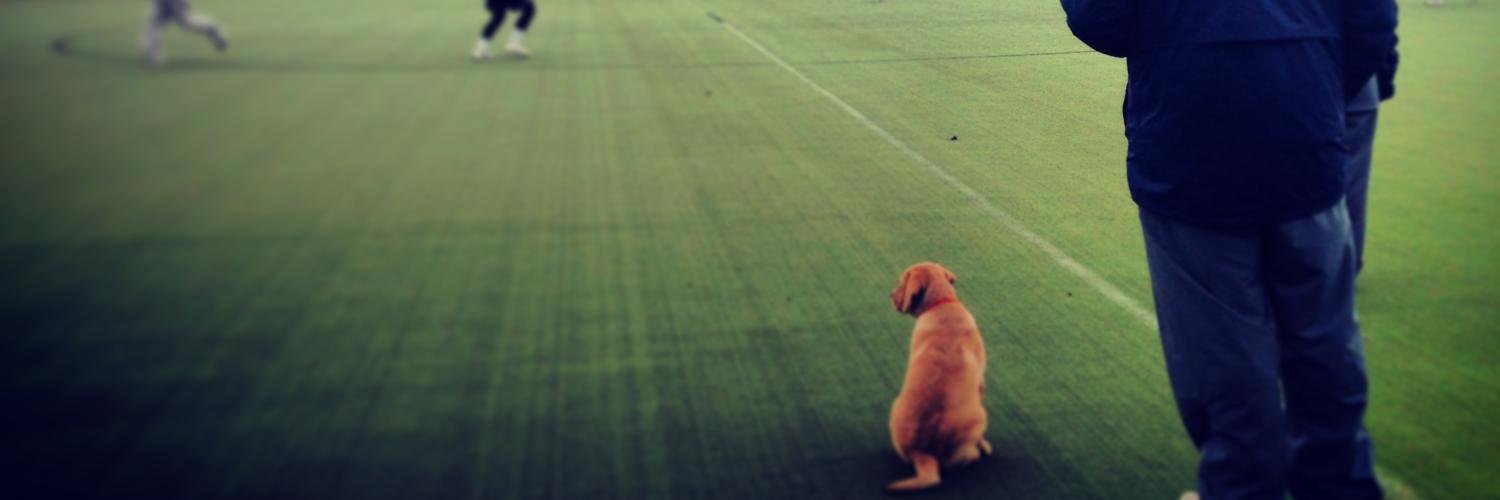 CoachStillwell's profile banner image