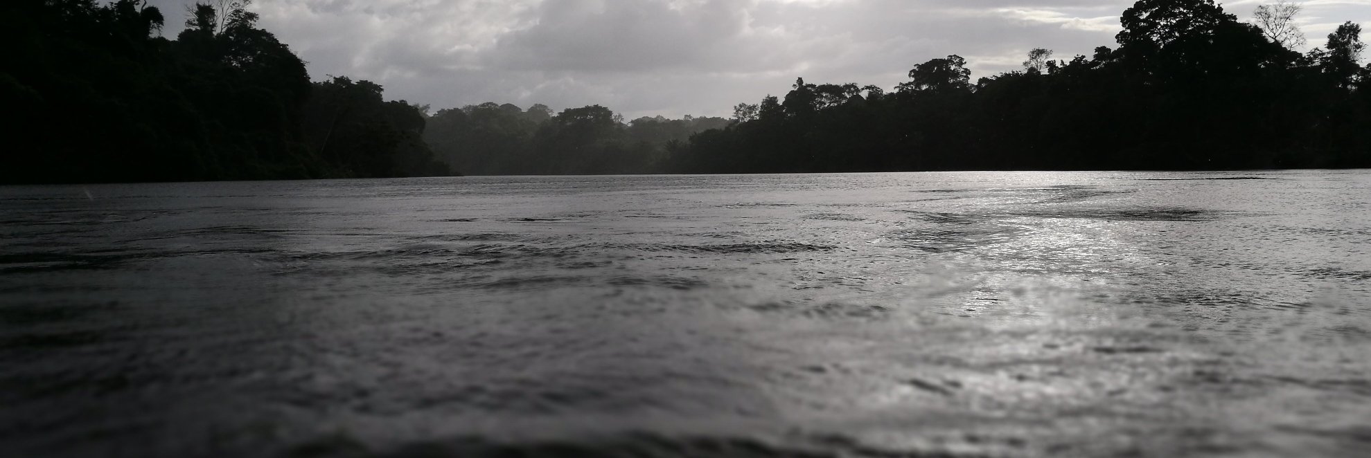 cheronneclark's profile banner image