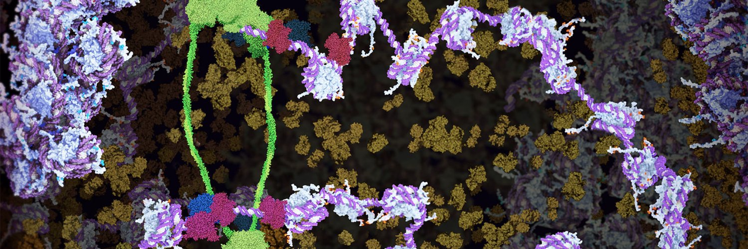 Genome Organisation Australia's banner