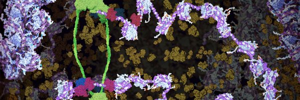 GenomeOrgAus Profile Banner